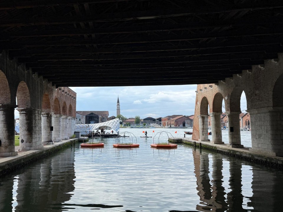 biennale 2025